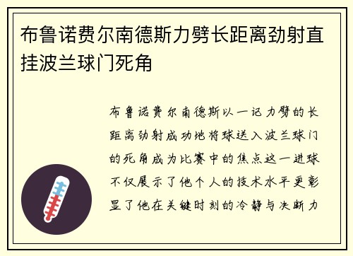 布鲁诺费尔南德斯力劈长距离劲射直挂波兰球门死角